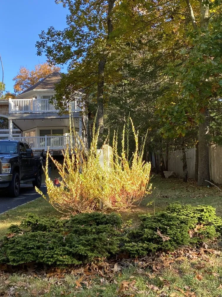 Expert landscaping services in East Hampton, NY by MB Tree Service Corp