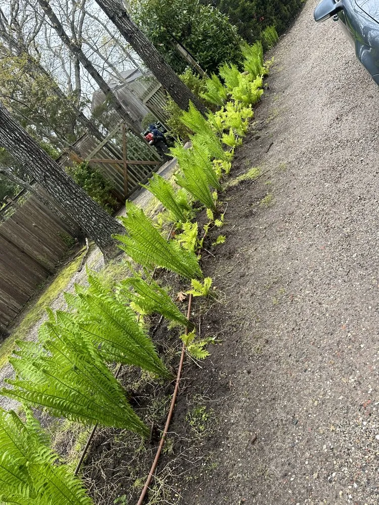 Local outdoor landscaping for outdoor upgrades across East Hampton, NY - MB Tree Service Corp