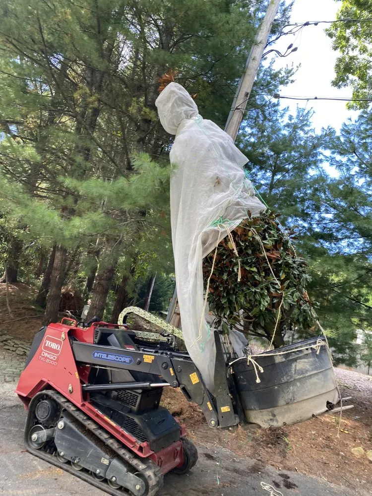 Reliable landscaping services in East Hampton, NY - MB Tree Service Corp