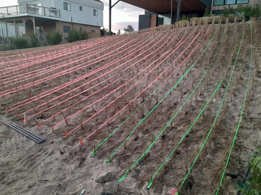 Expert yard maintenance for year-round maintenance across East Hampton, NY - MB Tree Service Corp