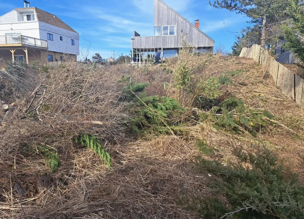 Reliable landscape installation experts serving East Hampton, NY - MB Tree Service Corp