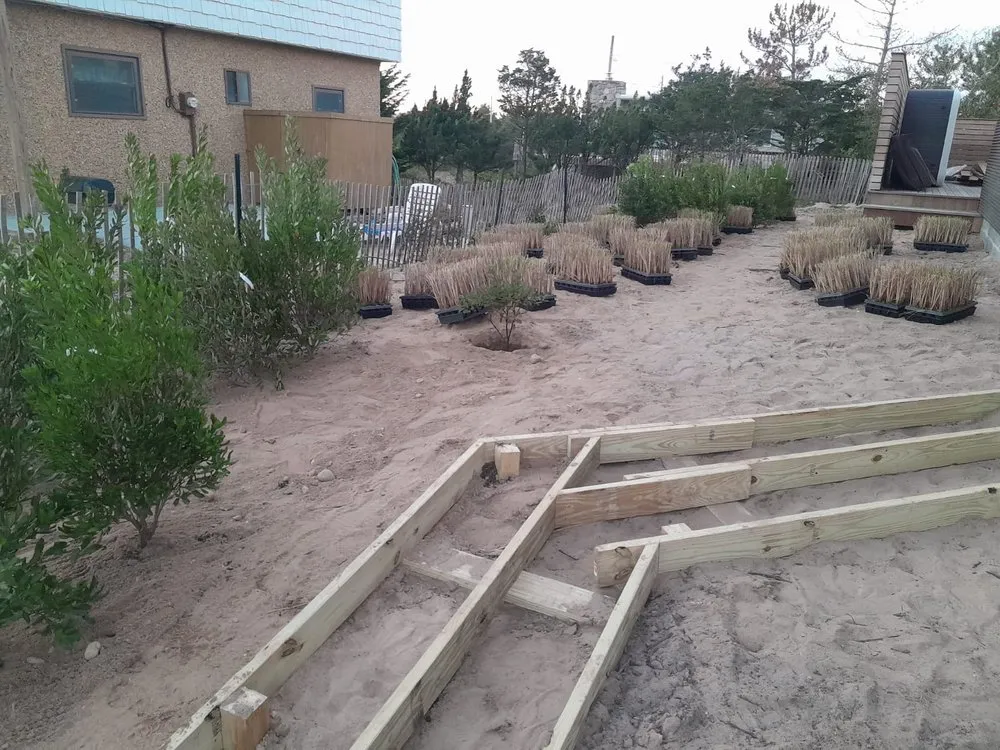 Top-rated yard cleanup service in East Hampton, NY - MB Tree Service Corp