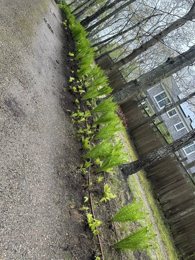 Expert garden landscaping for residential properties in East Hampton, NY by MB Tree Service Corp