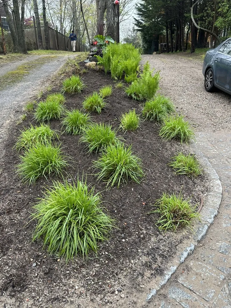 Trusted lawn mowing service in East Hampton, NY by MB Tree Service Corp