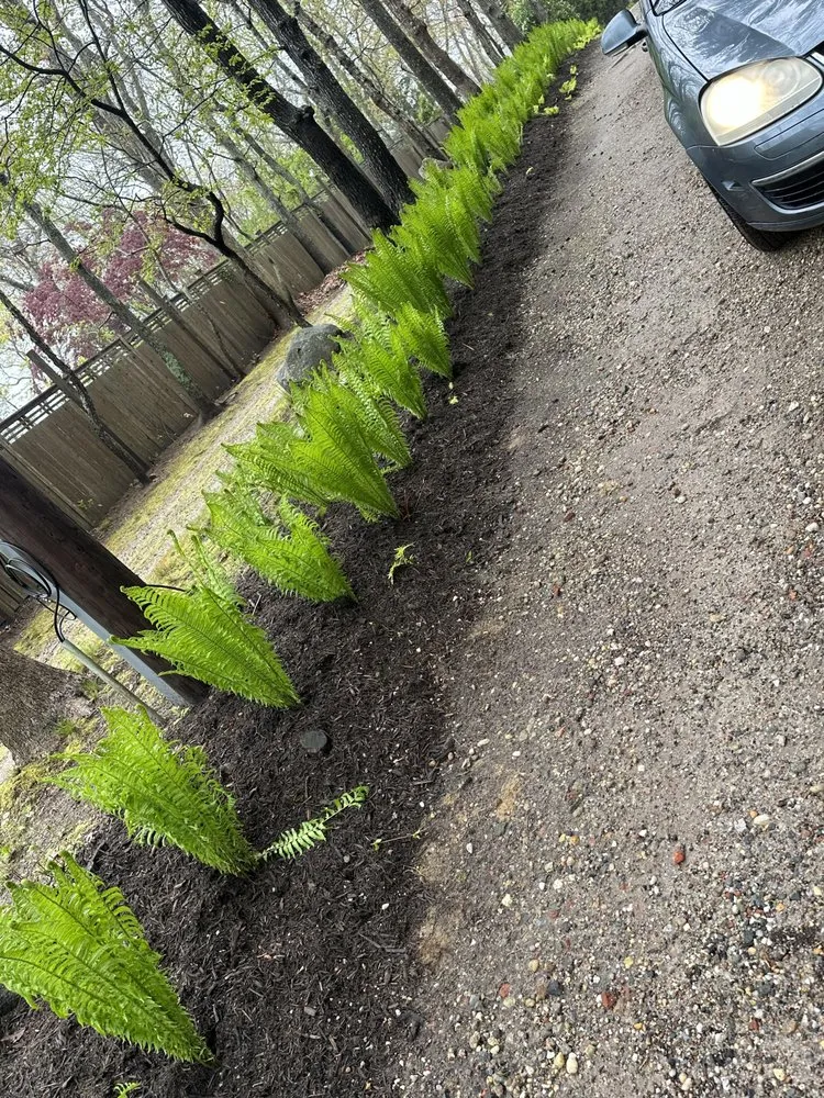 Affordable yard maintenance in East Hampton, NY - MB Tree Service Corp