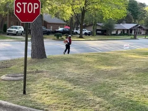 Top-rated outdoor landscaping in Little Rock, AR - Mb Williams Lawn Service