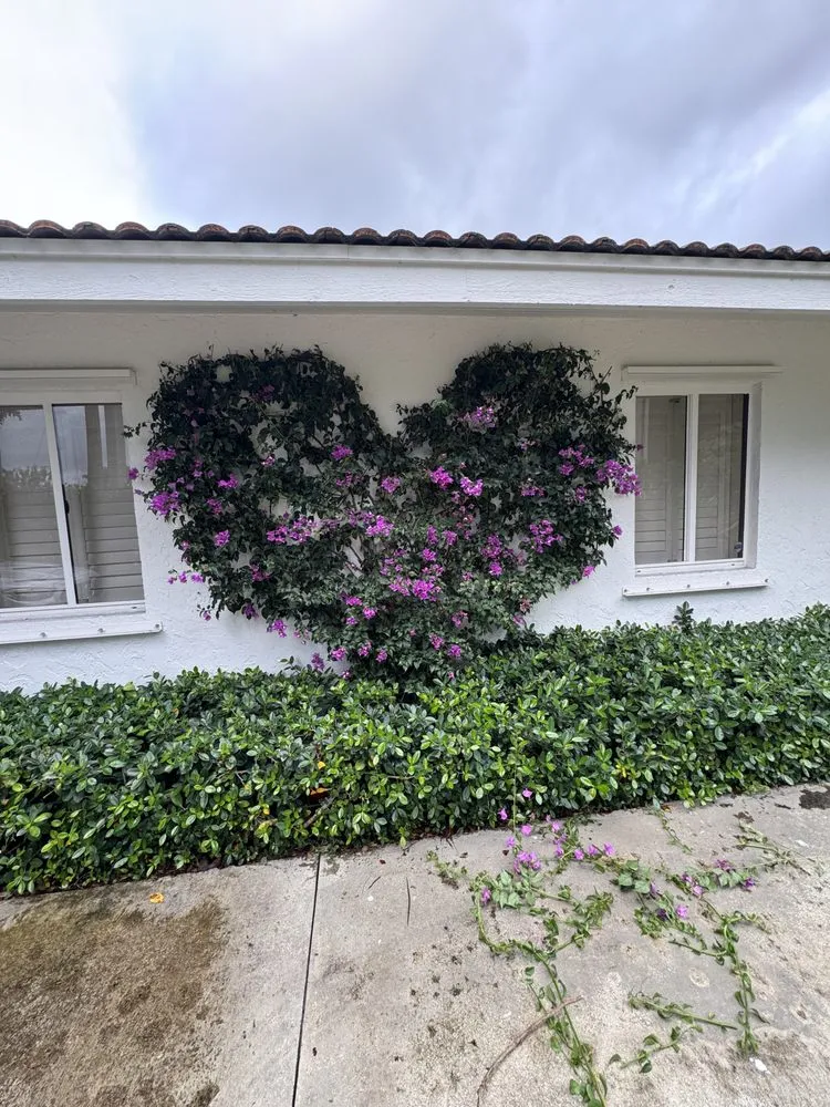 Trusted outdoor landscaping for residential properties across Lake Worth Beach, FL - MBA Landscape