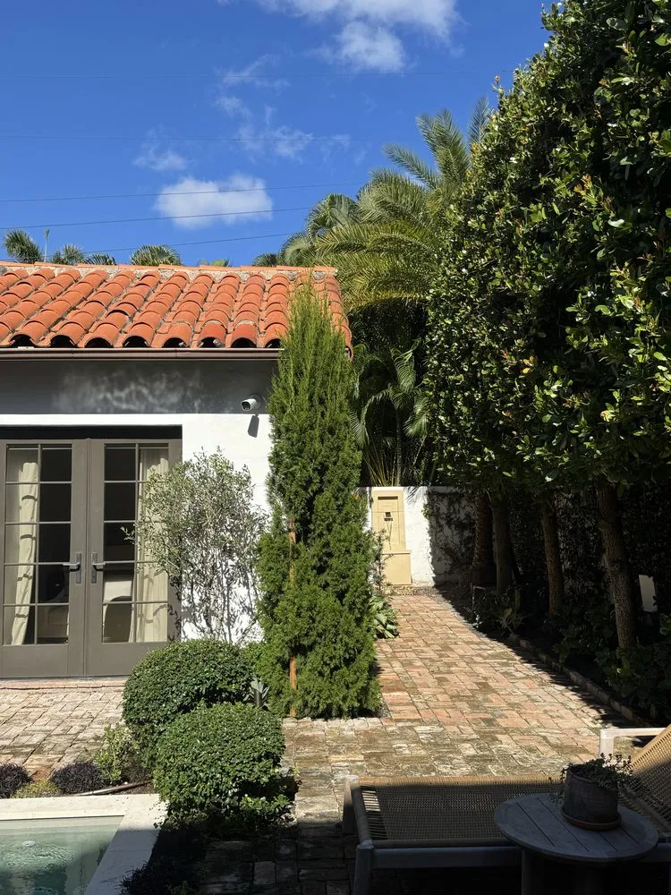 Reliable yard cleanup service experts serving Lake Worth Beach, FL - MBA Landscape