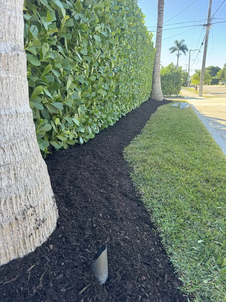 Reliable lawn care service in Lake Worth Beach, FL - MBA Landscape