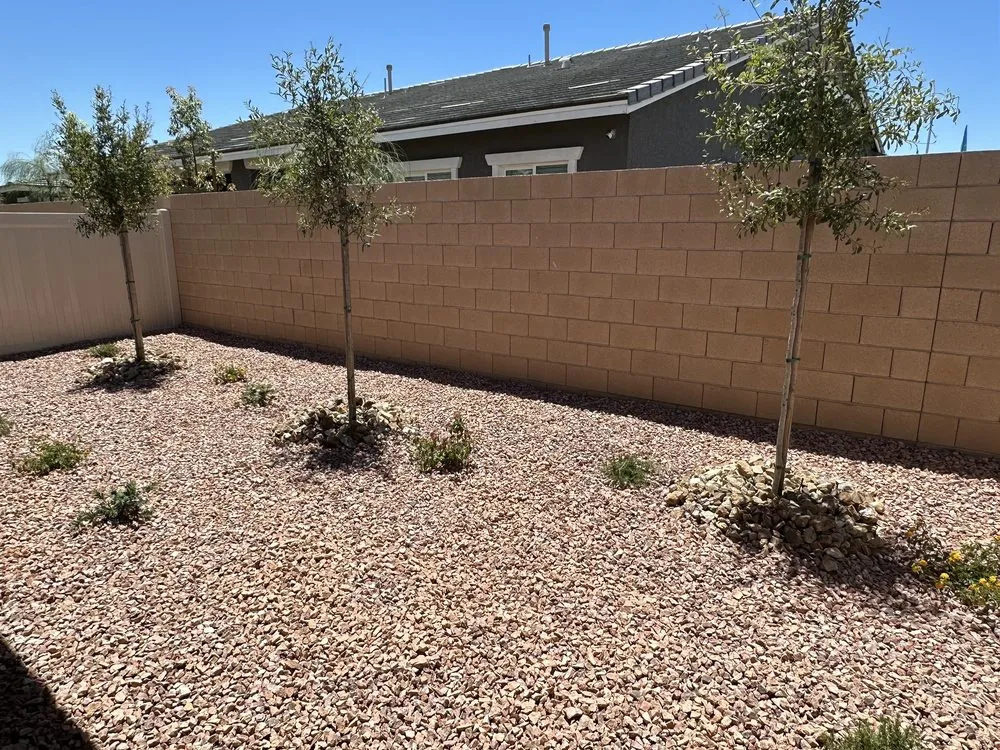 Custom lawn mowing service in Las Vegas, NV - MBA Landscaping Service