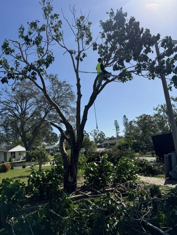 Professional landscape installation experts serving Avon Park, FL - MBC Tree Service