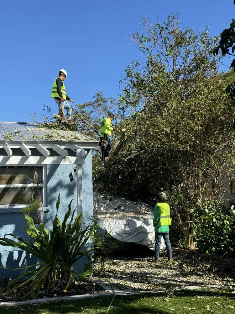 Top-rated outdoor landscaping in Avon Park, FL - MBC Tree Service