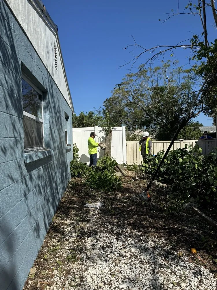 Custom landscape installation with custom design across Avon Park, FL - MBC Tree Service