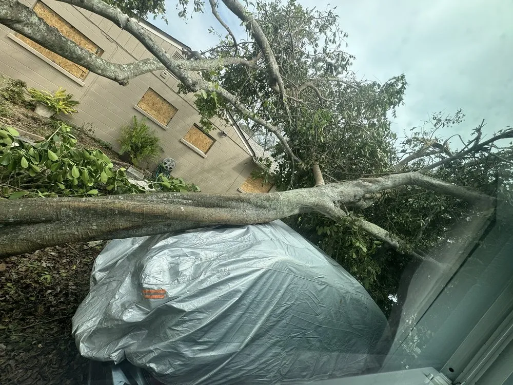 Reliable garden landscaping for beautiful yards across Avon Park, FL - MBC Tree Service