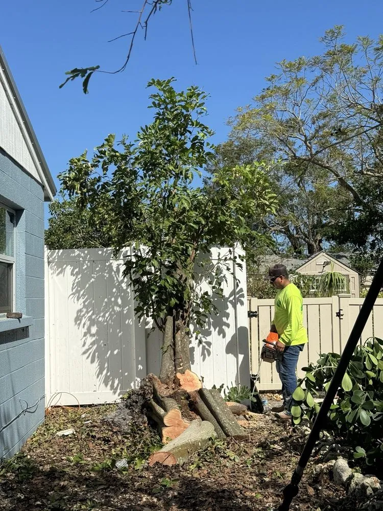Affordable landscaping services experts serving Avon Park, FL - MBC Tree Service