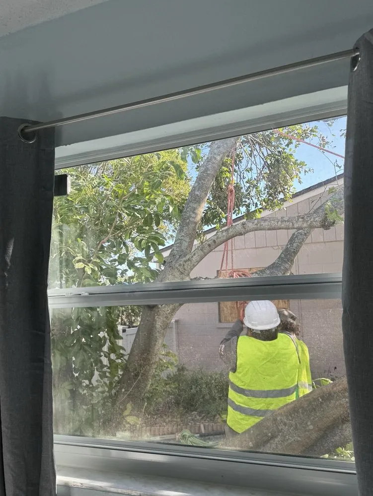 Expert yard maintenance in Avon Park, FL by MBC Tree Service