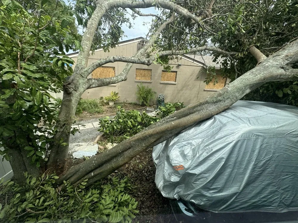 Professional yard cleanup service in Avon Park, FL by MBC Tree Service