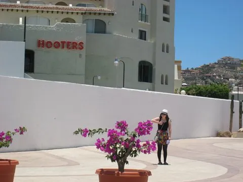 Top-rated outdoor landscaping experts serving Avon Park, FL - MBC Tree Service