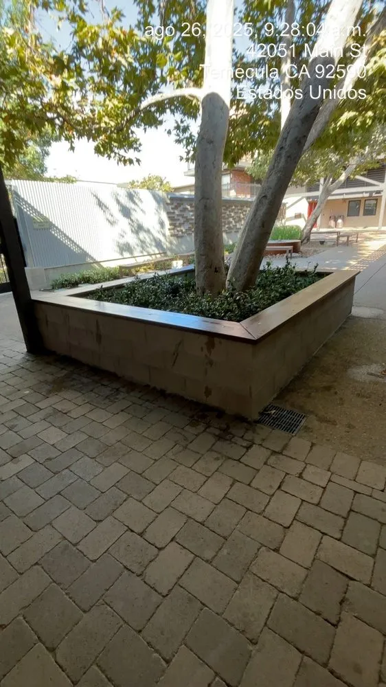 Professional lawn care service for residential properties in Riverside, CA by MBL Landscap & Design