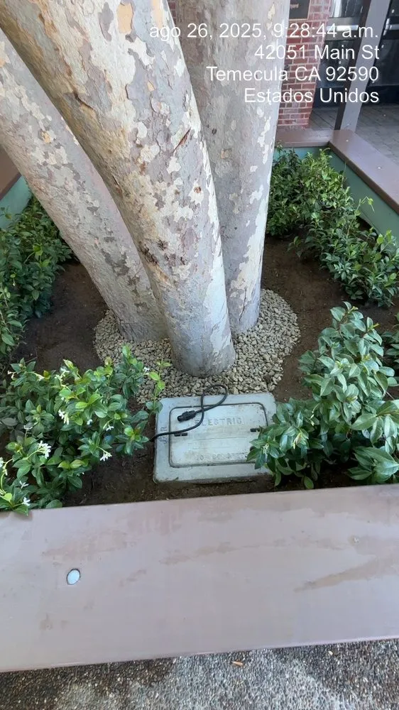 Affordable outdoor landscaping in Riverside, CA by MBL Landscap & Design