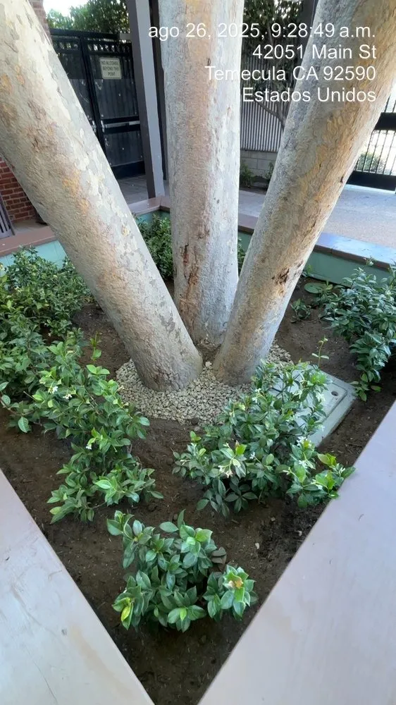 Local landscape installation for outdoor upgrades across Riverside, CA - MBL Landscap & Design