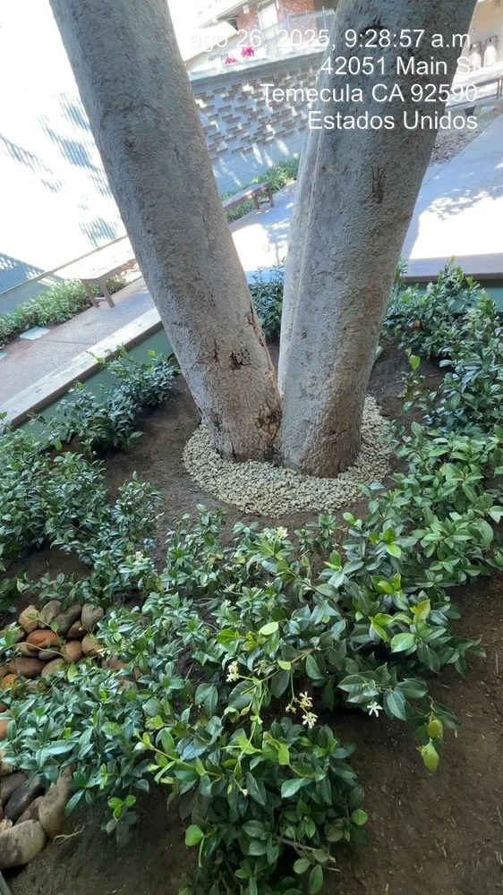 Trusted landscaping services in Riverside, CA by MBL Landscap & Design