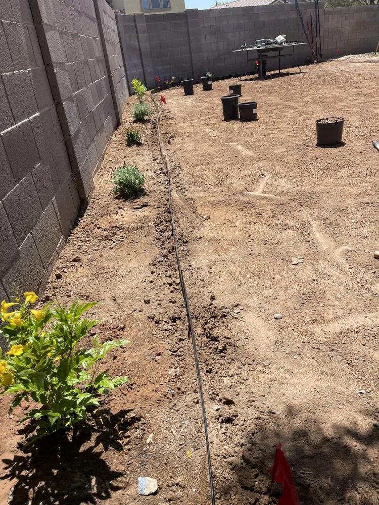 Trusted lawn mowing service experts serving Scottsdale, AZ - MBM Landscape & Irrigation