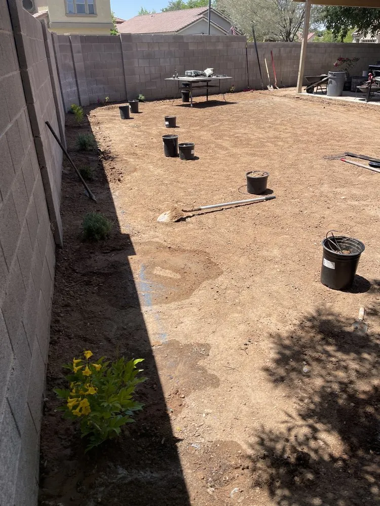 Professional yard cleanup service in Scottsdale, AZ - MBM Landscape & Irrigation