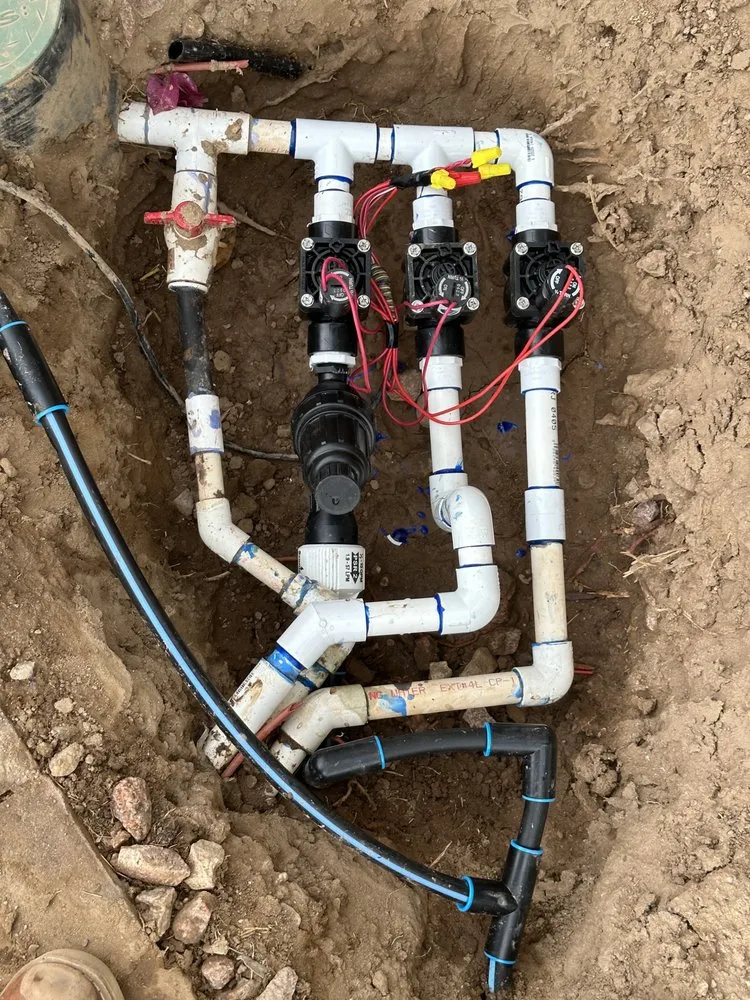 Reliable yard maintenance experts serving Scottsdale, AZ - MBM Landscape & Irrigation