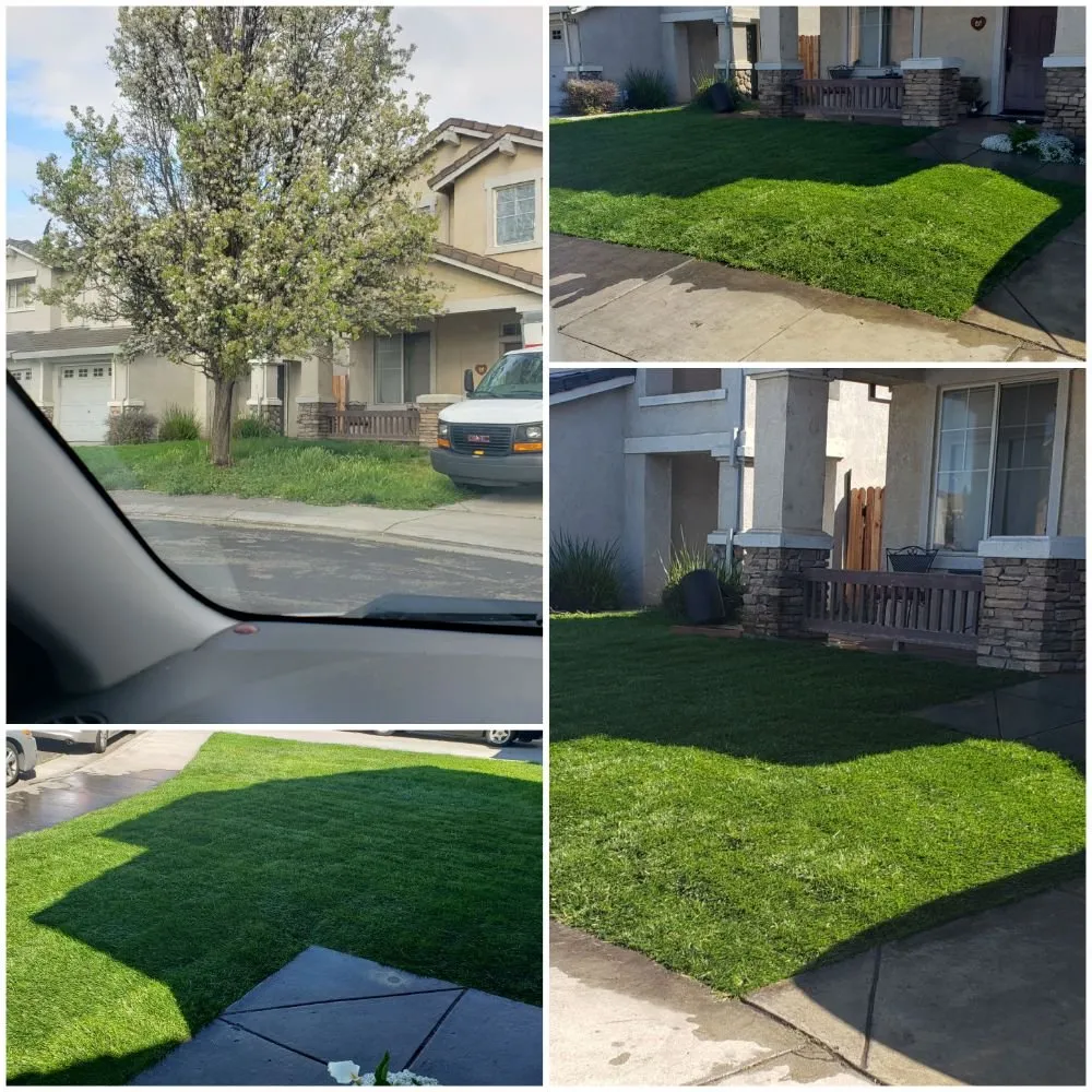 Local landscape installation in Empire, CA - MBM Landscape services