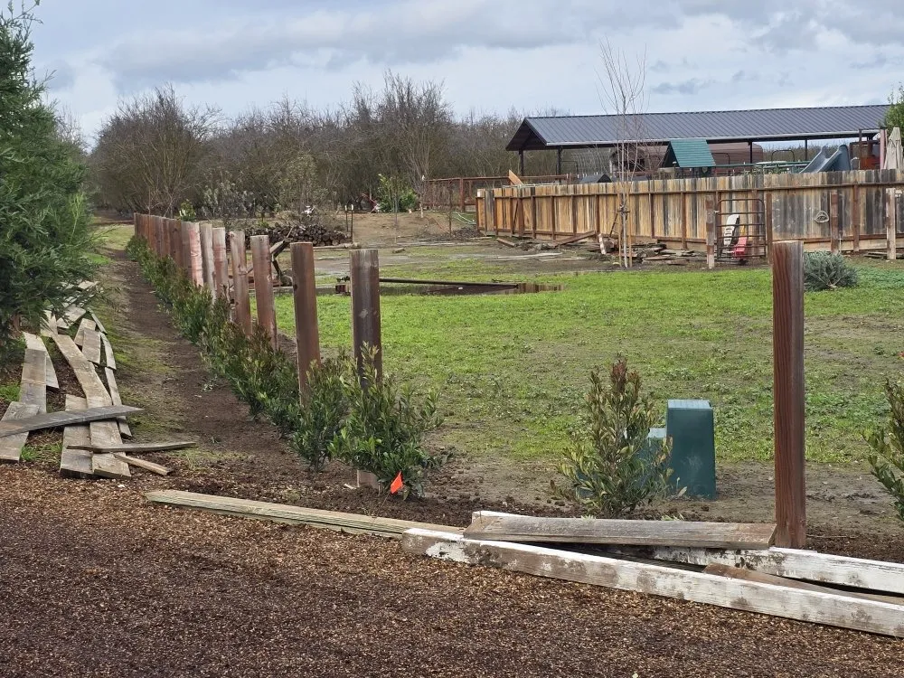 Reliable residential landscaping with custom design across Empire, CA - MBM Landscape services