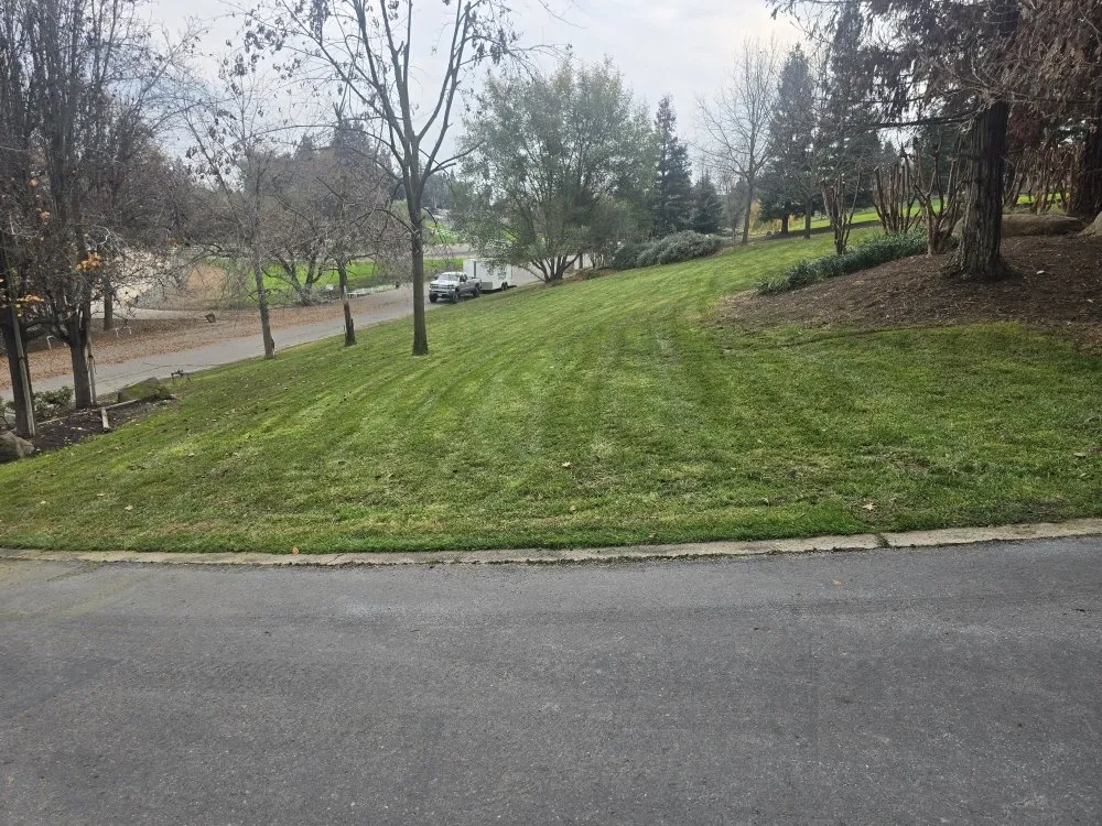 Professional landscaping services experts serving Empire, CA - MBM Landscape services
