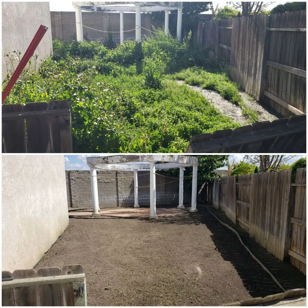 Top-rated landscaping services in Empire, CA by MBM Landscape services