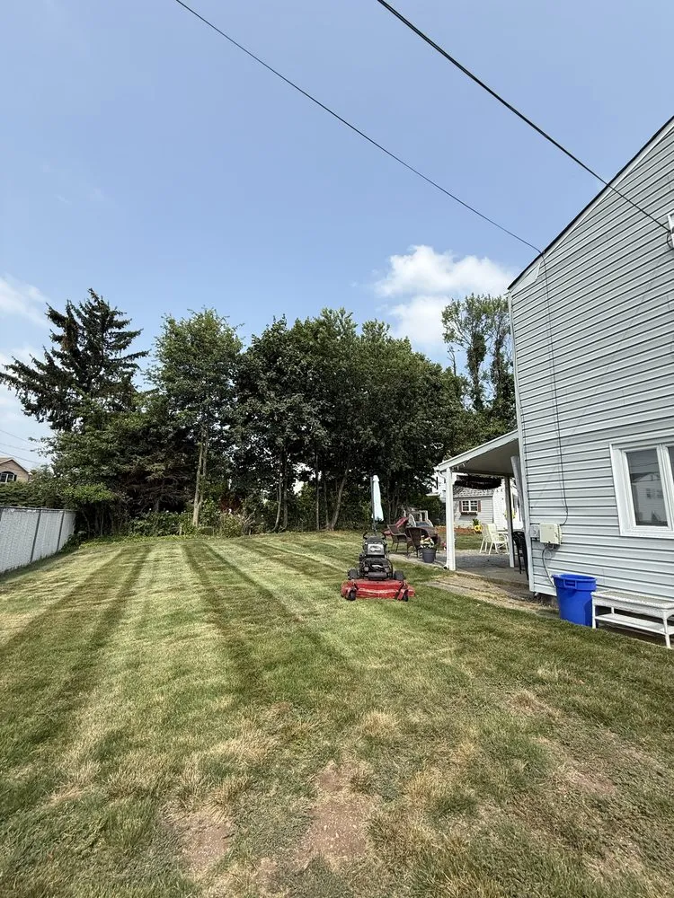 Affordable yard cleanup service experts serving North Plainfield, NJ - MBM Landscaping