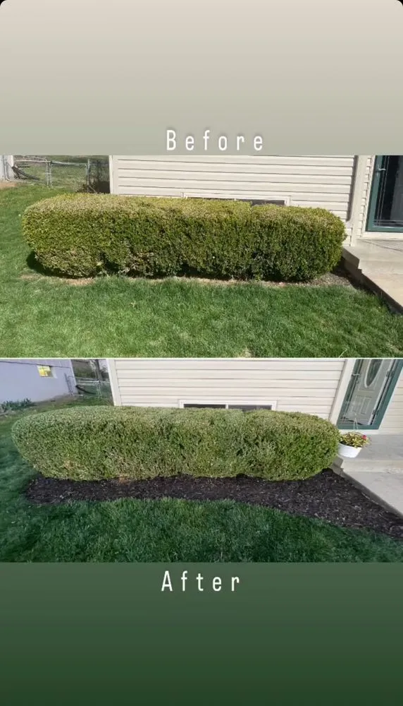 Trusted lawn care service for residential properties across North Plainfield, NJ - MBM Landscaping