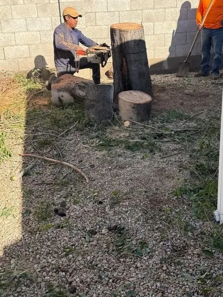 Reliable landscape installation with custom design in Tonopah, AZ by MBM Landscaping
