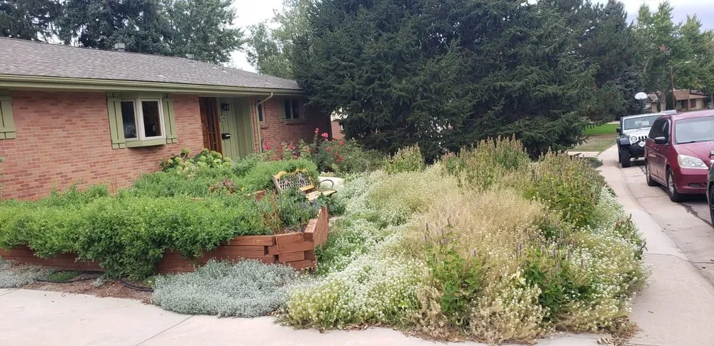 Reliable residential landscaping in Castle Rock, CO - MBO Landscaping Services