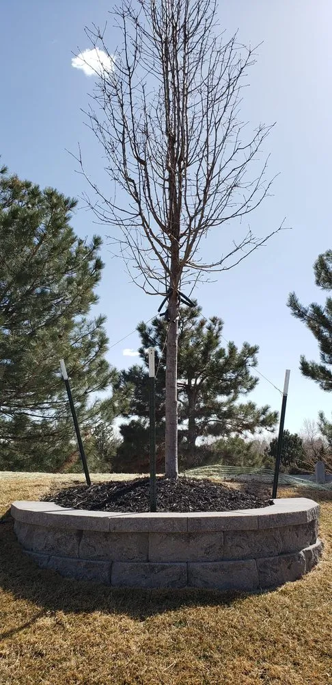 Affordable outdoor landscaping in Castle Rock, CO by MBO Landscaping Services