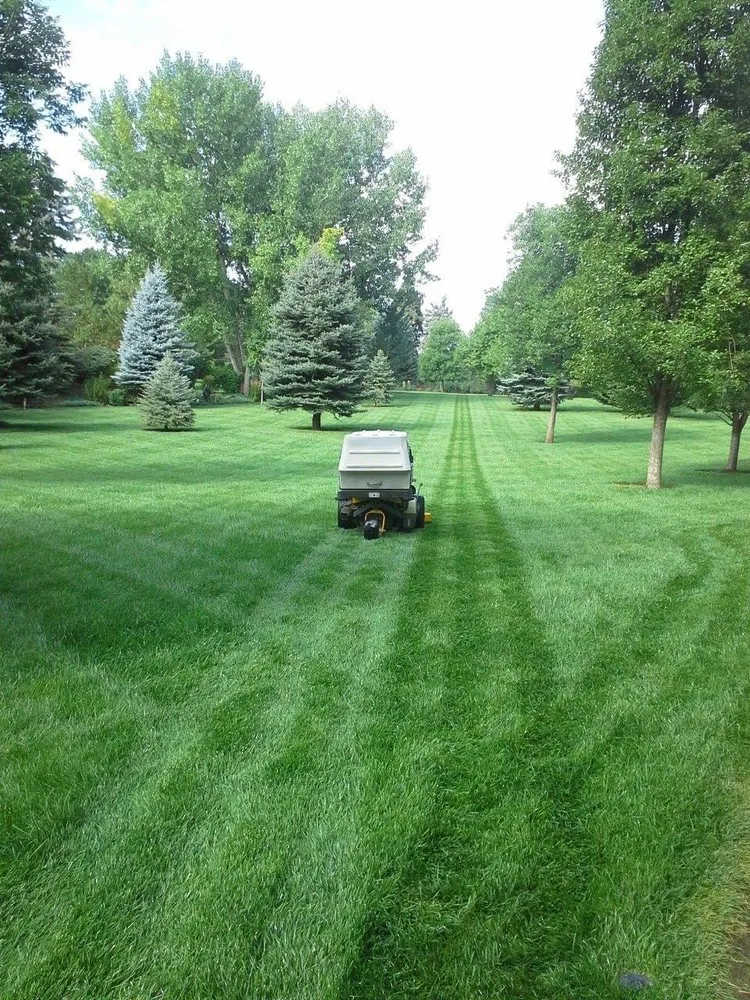 Local residential landscaping experts serving Castle Rock, CO - MBO Landscaping Services