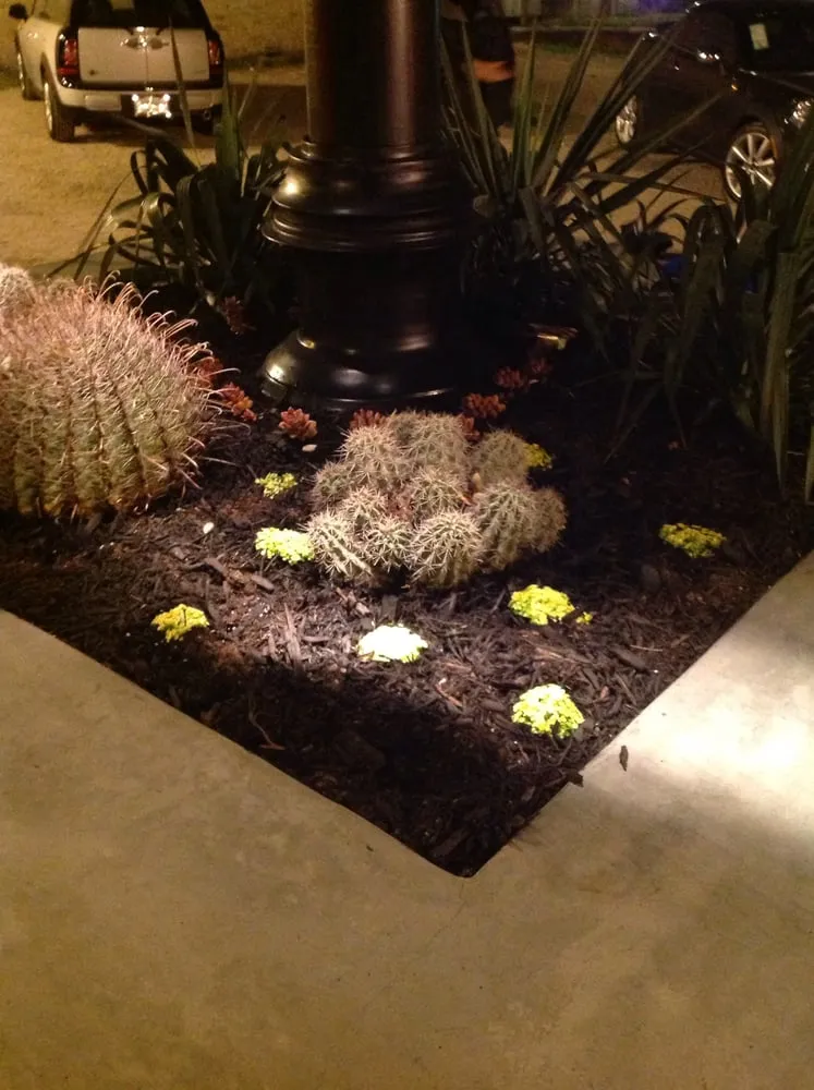 Trusted yard maintenance in Austin, TX by MBP Nursery and Landscaping