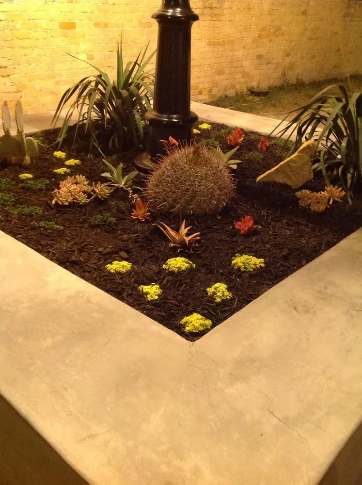 Custom landscape installation in Austin, TX by MBP Nursery and Landscaping