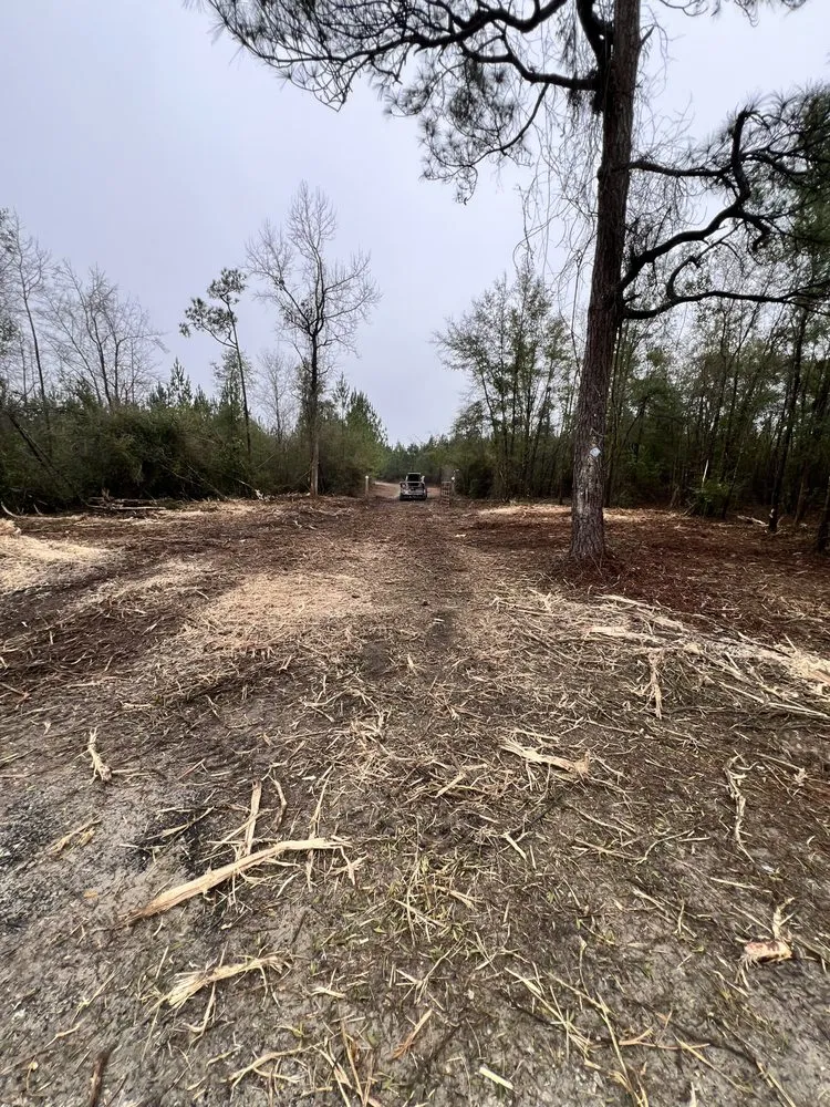 Expert lawn mowing service for outdoor upgrades in Wilmington, NC by MBR Development