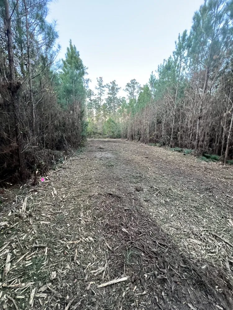Trusted yard cleanup service in Wilmington, NC - MBR Development