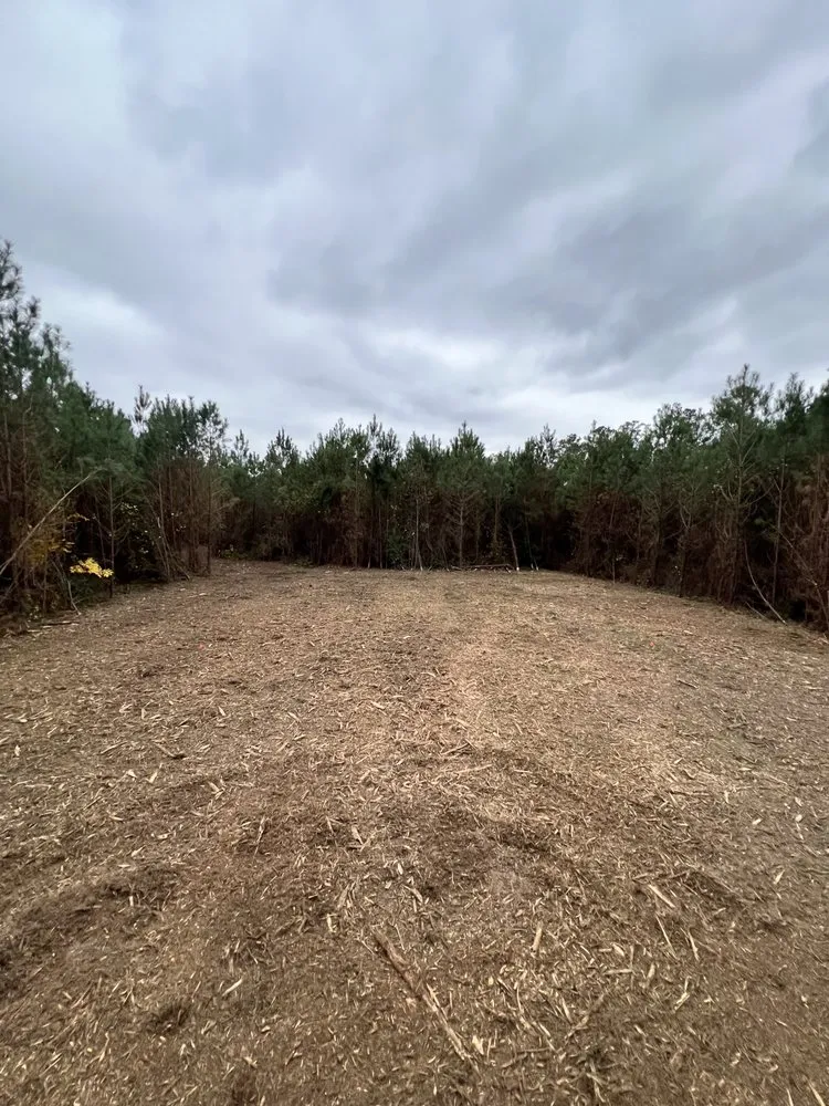 Top-rated lawn mowing service in Wilmington, NC - MBR Development