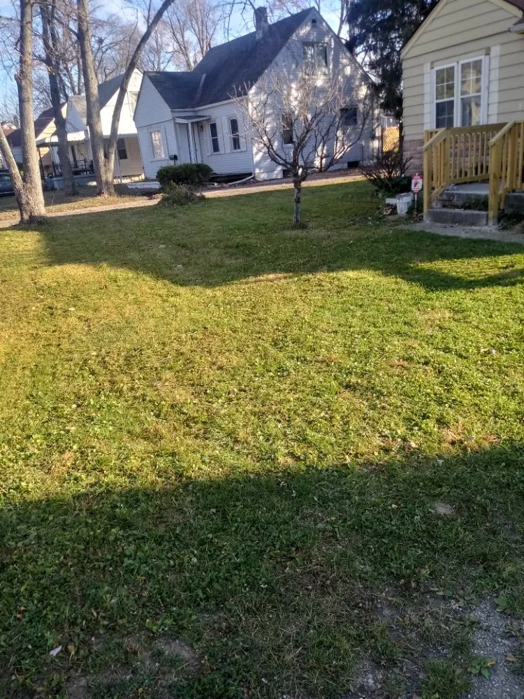 Expert landscaping services for homes across Columbus, OH - Mbs Designs