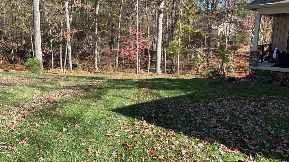 Trusted landscape installation in Madisonville, TN - MB’s Lawn Care