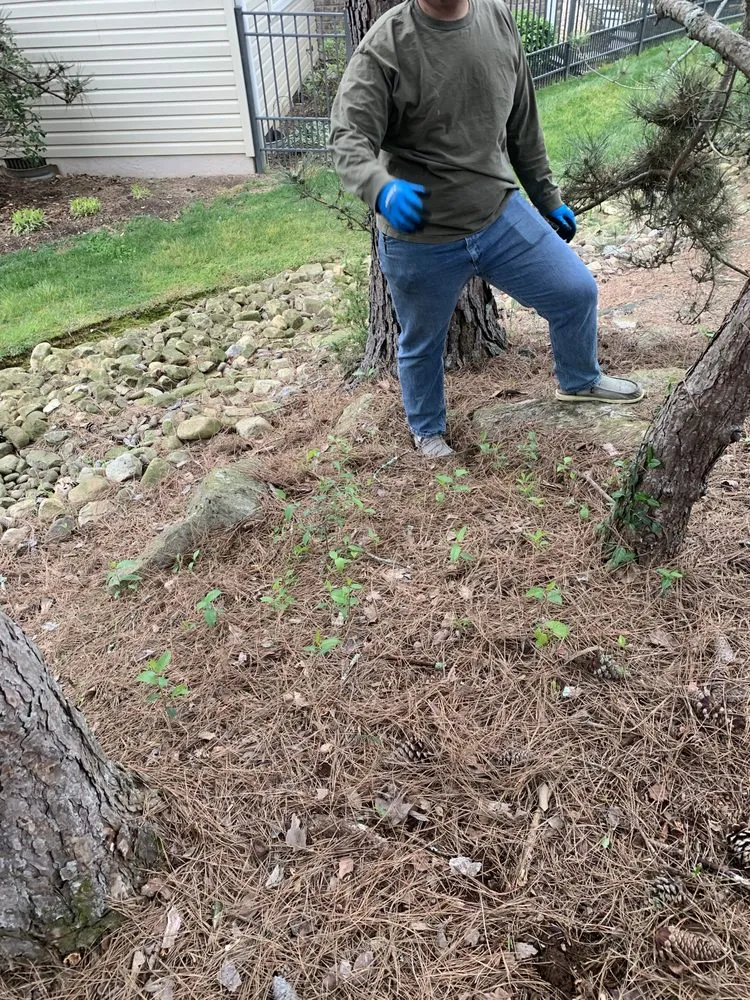 Custom garden landscaping in Madisonville, TN - MB’s Lawn Care