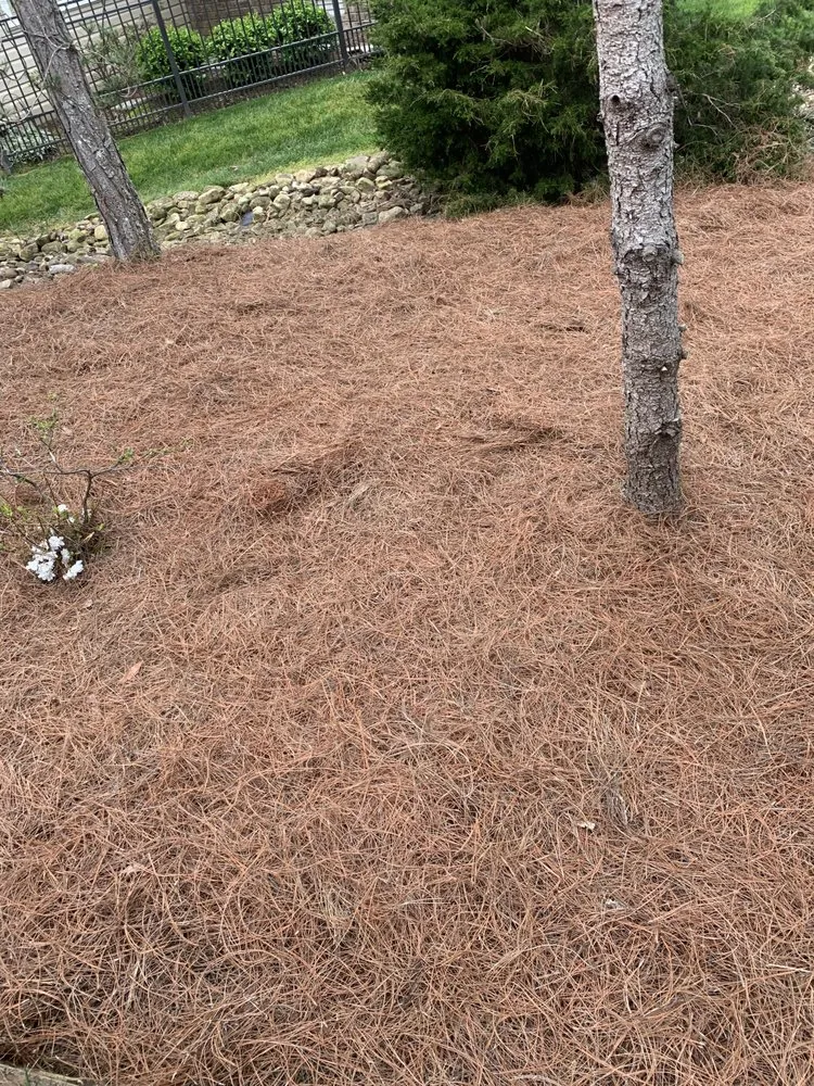 Custom outdoor landscaping experts serving Madisonville, TN - MB’s Lawn Care