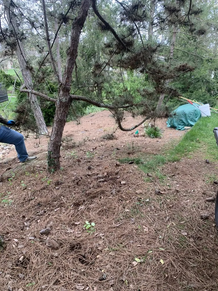 Professional landscaping services in Madisonville, TN by MB’s Lawn Care