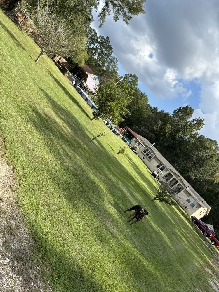 Affordable lawn mowing service with custom design across Carriere, MS - M&B's Lawncare